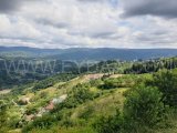 GÖLCÜK HAMİDİYE’DE RESMİ YOLU AÇIK, TERASLAMASI HAZIR 1.740 m² FIRSAT ARAZİ!
