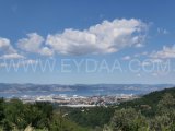 Gölcük İhsaniye’de Anayola Cephe Full Altyapılı 1.465 m² Satılık Bağ | Eydaa Emlak